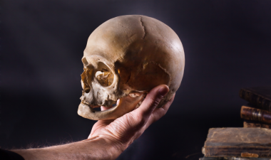 Person holding a skull