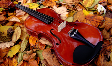 Fall leaves with violin