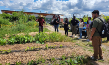 People in a community garden