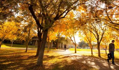 fall_mba_cropped_1700.jpg
