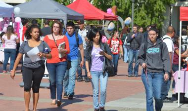 tops-department-education_764x354.jpg