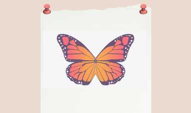 Immigration Updates with ILD