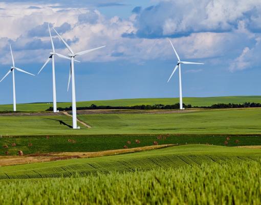 Valley of windmills