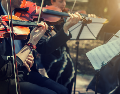Musicians playing the violin close up
