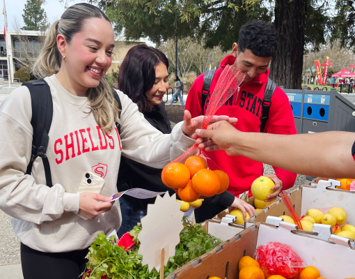 students at StanFresh Market