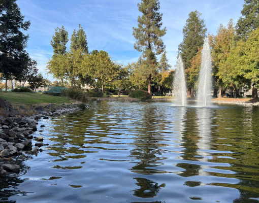 Bizzini Hall's Lakeside