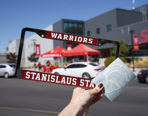 License Plate and Decal