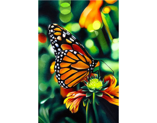Art: "In Full Bloom", butterfly on plant, colored pencil, Carlos Rodriguez Diaz