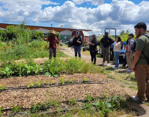 Stan State Sustainability Garden tour.