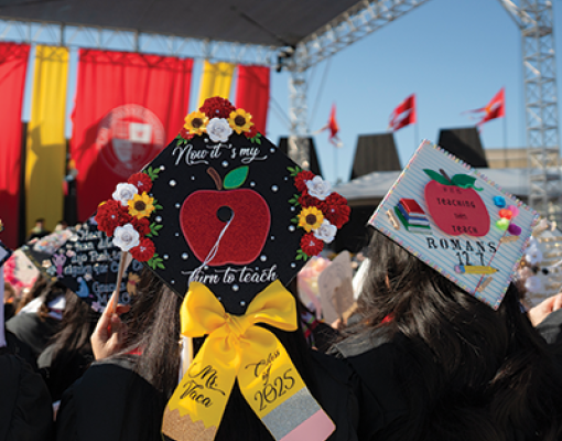 commencement decorated caps