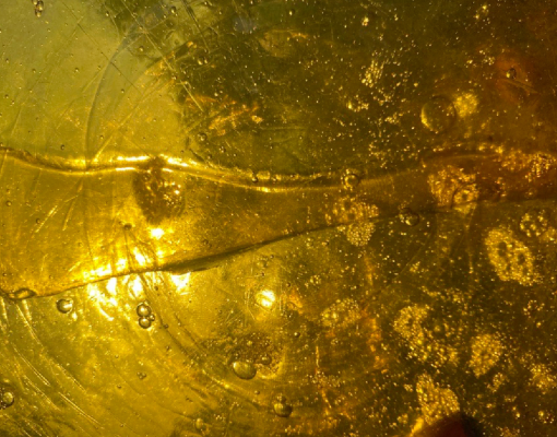 Post Human Blueprint, Gelatin, Polyester Thread, and acrylic, 2025