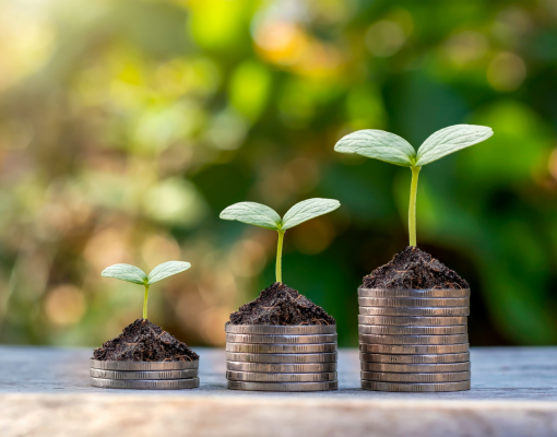 Plants growing on top of coins