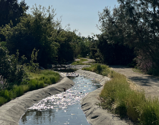 Trans California Pathway