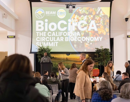 People mingling at the BEAM Circular Conference at Stan State.