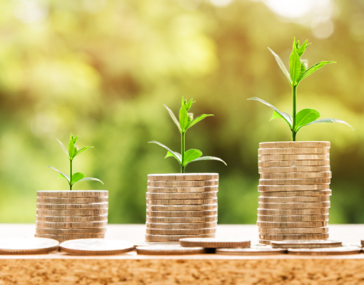 Plants on top of stacks of coins