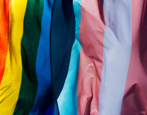 Transgender Flag