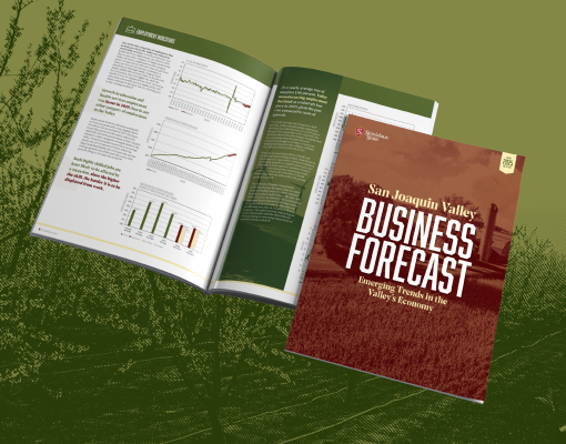 Business Forecast Vol. 15 cover