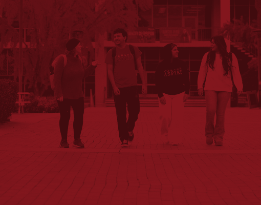 duotone image of students on campus