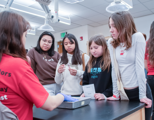Students participate in a hands on Science Day activity