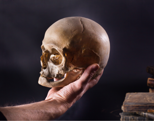 Person holding a skull