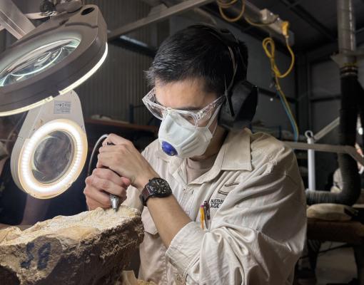 Sebastian Lara preparing a 110-million-year-old ichthyosaur fossil