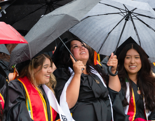 Graduates with umbrellas seated in their regalia at Commencement