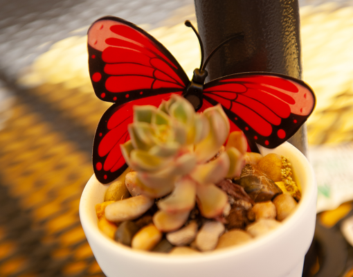 Small potted plant decorated with a Monarch butterfly.