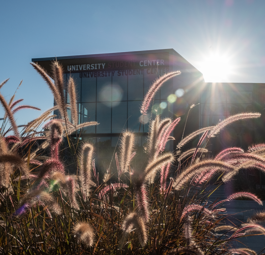 tall grass in front of University Student Center