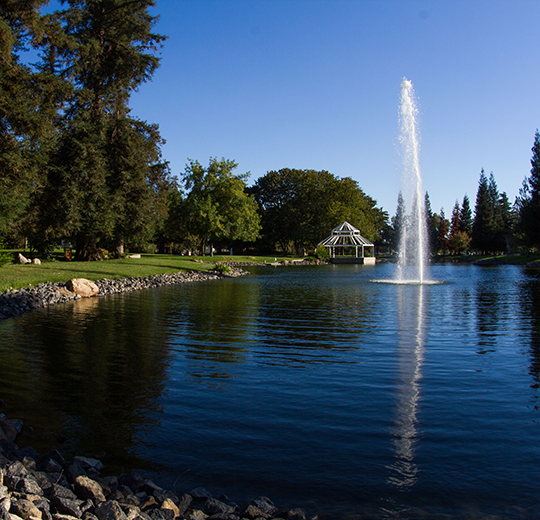 Sequoia Lake