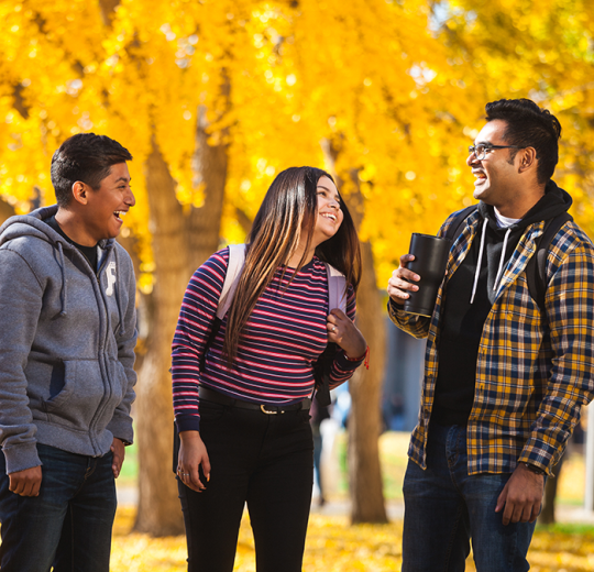 students fall colors