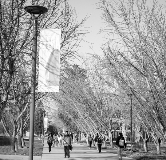 spring 2023 students on campus