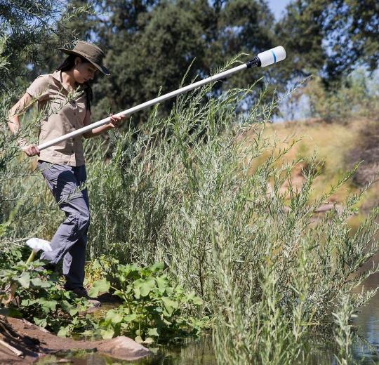 Victoria Sanchez taking water samples of the Tuolumne River