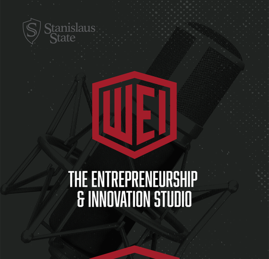 The Entrepreneurship Innovation Studio