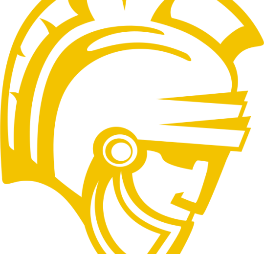 yellow warrior head.png
