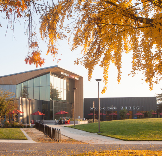 Student Center exterior and tree in the foreground