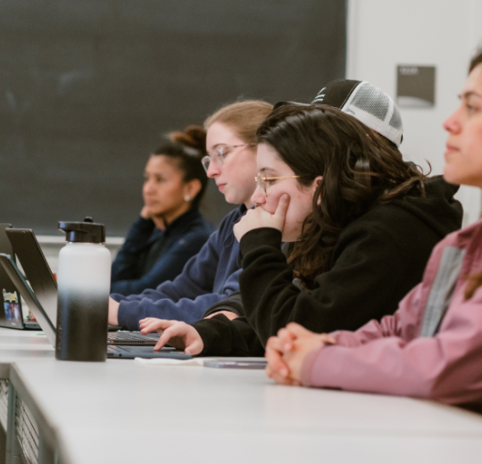 Students sitting in lecture
