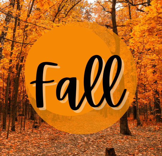 image of orange leaved trees with text reading fall 
