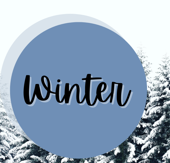 text saying winter on blue and white backdrop with snow covered trees