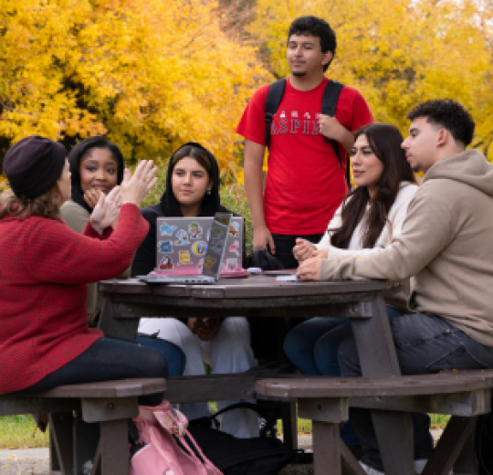 Students studying outdoors