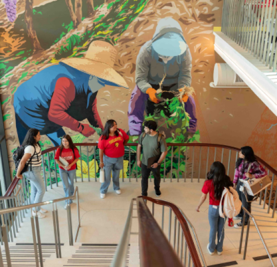 Students on stairs