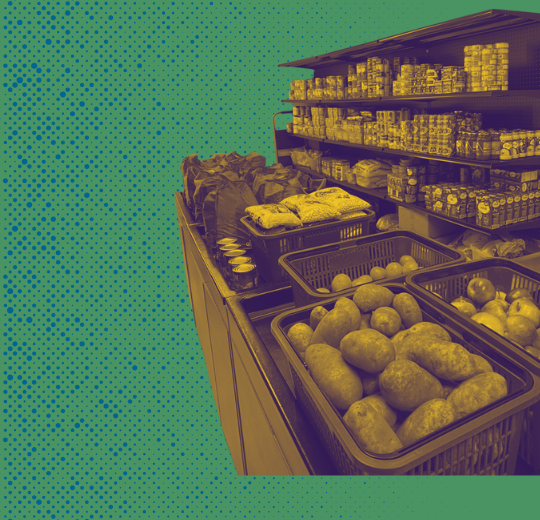 Food on shelves on green background