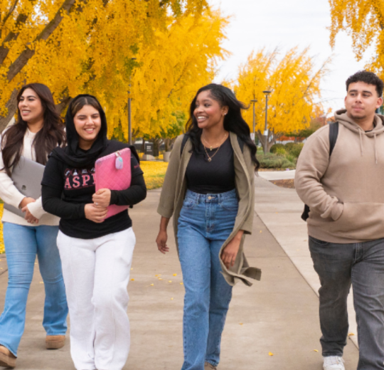 A group of students seen walking on the campus grounds