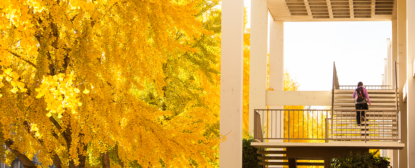 student walking up Bizzini Hall stairs