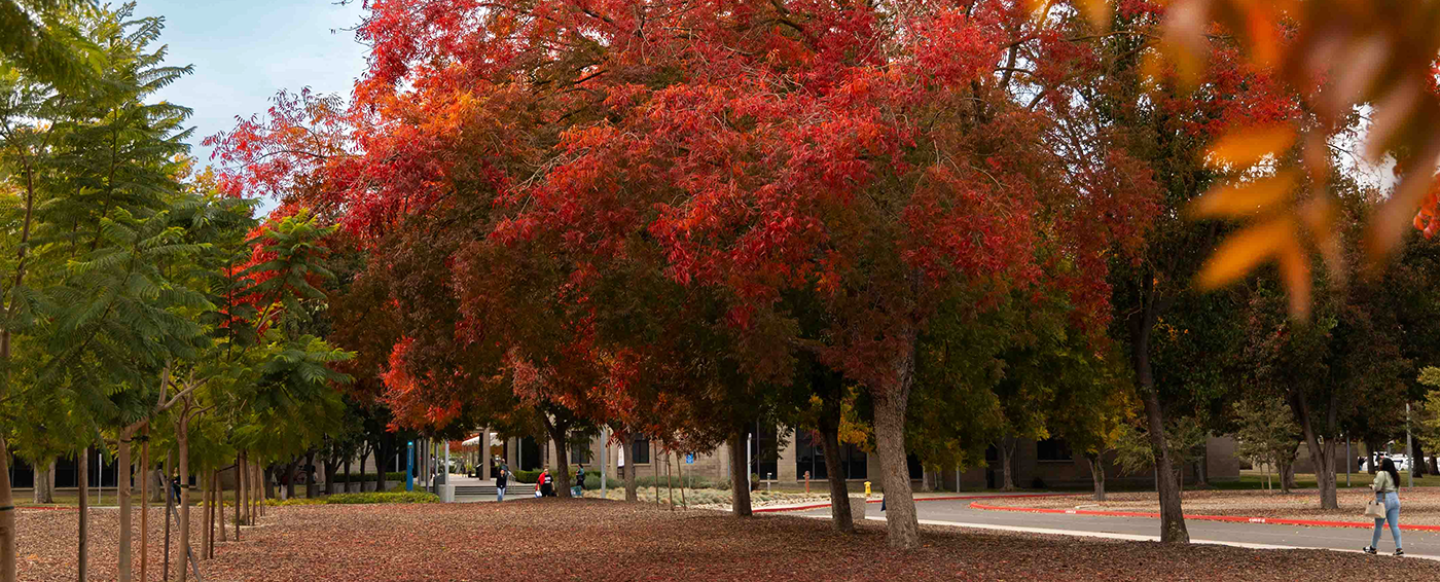 campus in fall