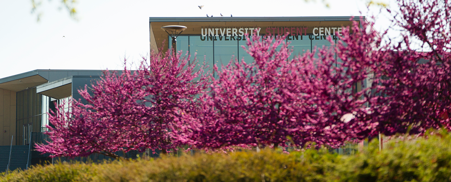 campus scene