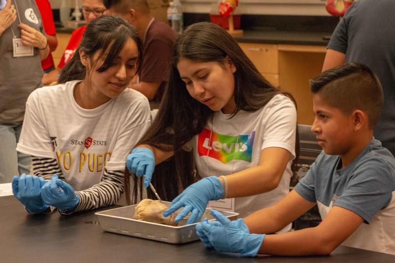 Three middle school students collaborate in a science activity