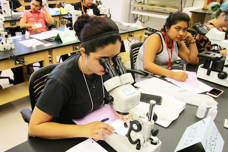STEM Success student uses microscope in class.